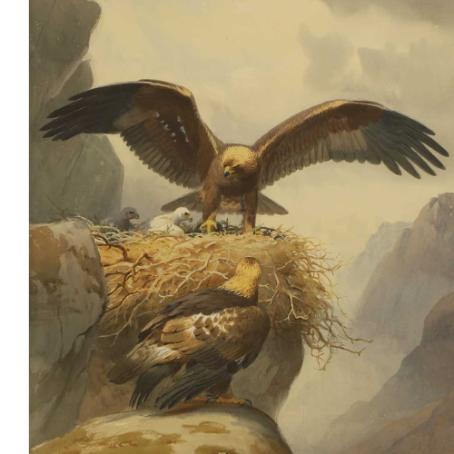 Sporting Art and Wildlife (including a collection of watercolours of game birds from a property in France)